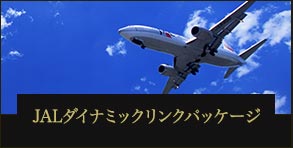 JALダイナミックリンクパッケージ 往復航空券＋宿泊プラン